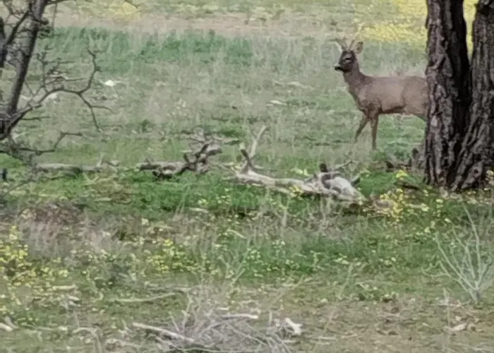 El Rincon Del Vadillo 호텔 *